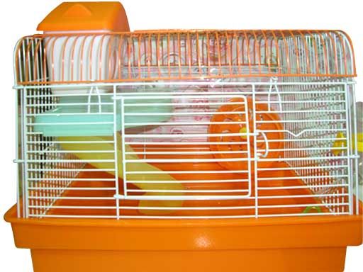 Tưng bừng khai trương siêu thị pet khuyến mãi cực hot.......... - 15