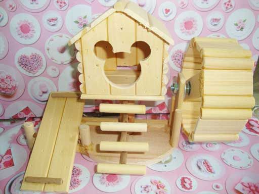 Tưng bừng khai trương siêu thị pet khuyến mãi cực hot.......... - 11