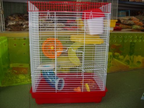 Tưng bừng khai trương siêu thị pet khuyến mãi cực hot.......... - 19