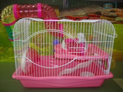 Tưng bừng khai trương siêu thị pet khuyến mãi cực hot.......... - 18