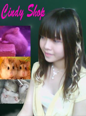 Chuyên pet thailand.đồ dùng.thức ăn.vật dụng giá hot....