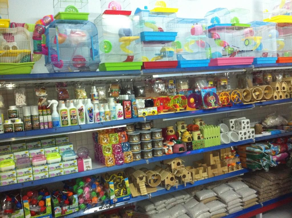 Tưng bừng khai trương siêu thị pet khuyến mãi cực hot.......... - 24