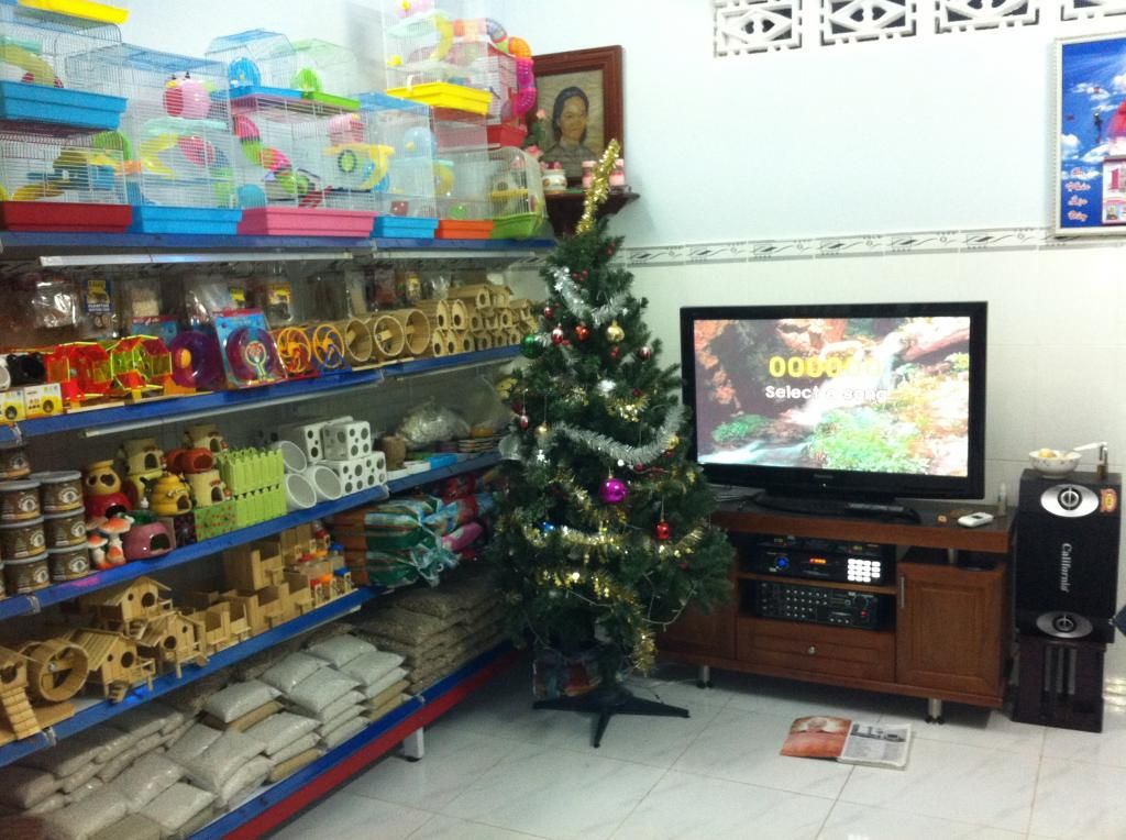 Tưng bừng khai trương siêu thị pet khuyến mãi cực hot.......... - 23