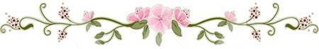 http://i1215.photobucket.com/albums/cc504/aeternalwings/florallinedivider_zpsbec7naoc.jpg