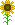 http://i1215.photobucket.com/albums/cc504/aeternalwings/sunflower_zpsqjrsizwh.png