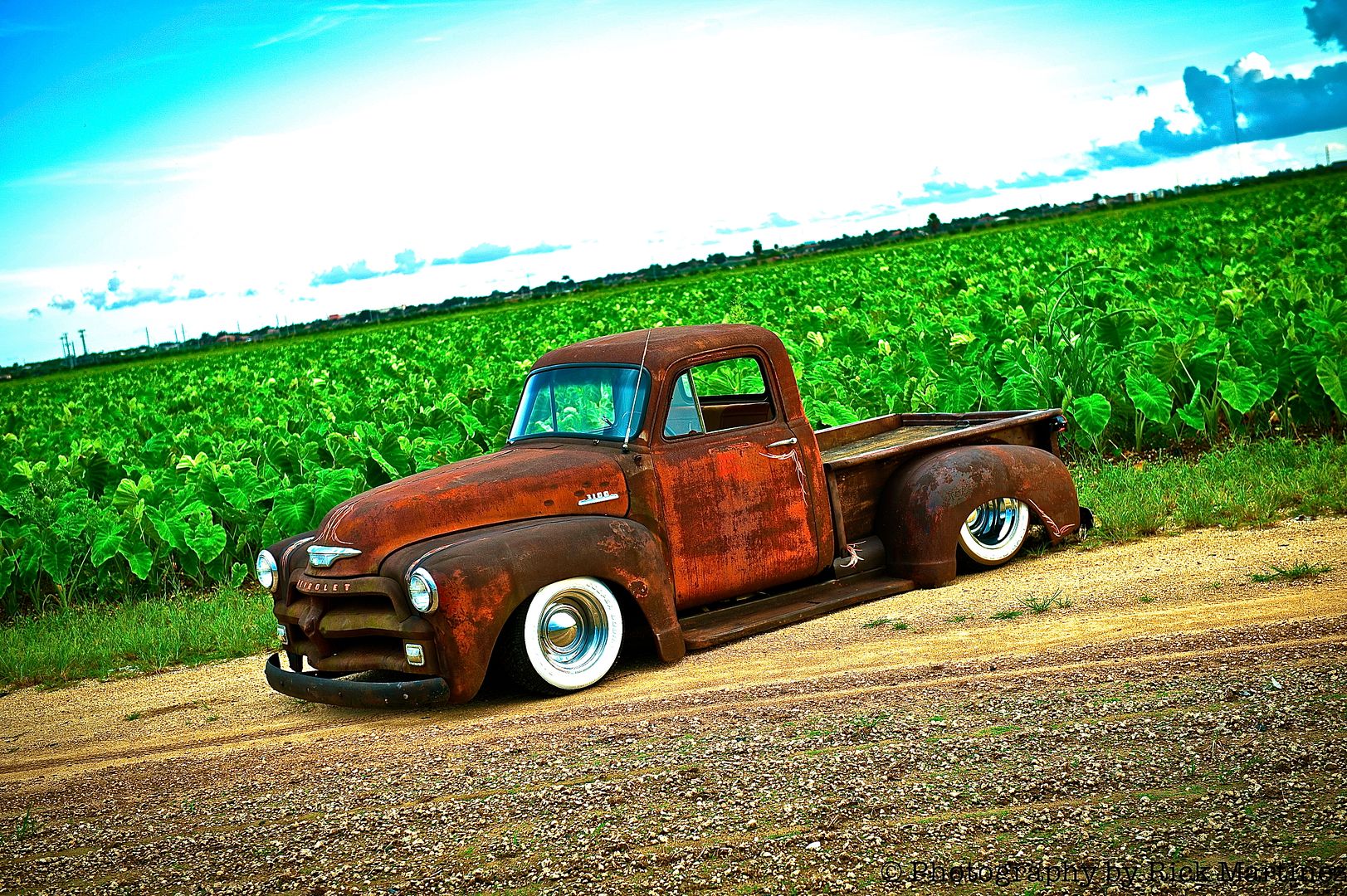 1 photo Eddies54Chevy-96.jpg