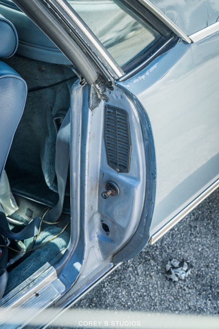 19 photo ChevyElCaminoRe-Shoot-63.jpg