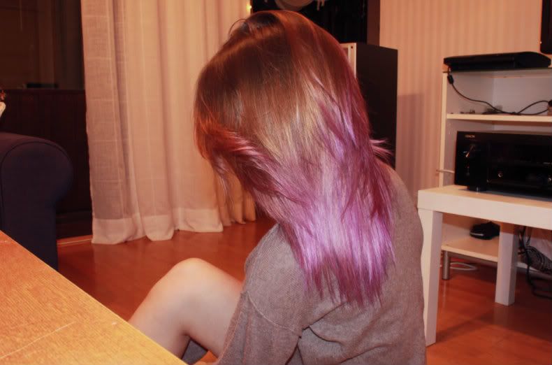 Cani3