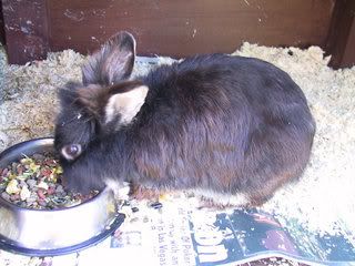 IMG_0228.jpg?t=1343389606