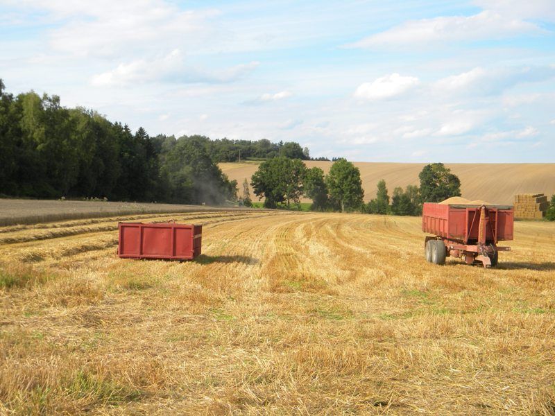 Obrázek