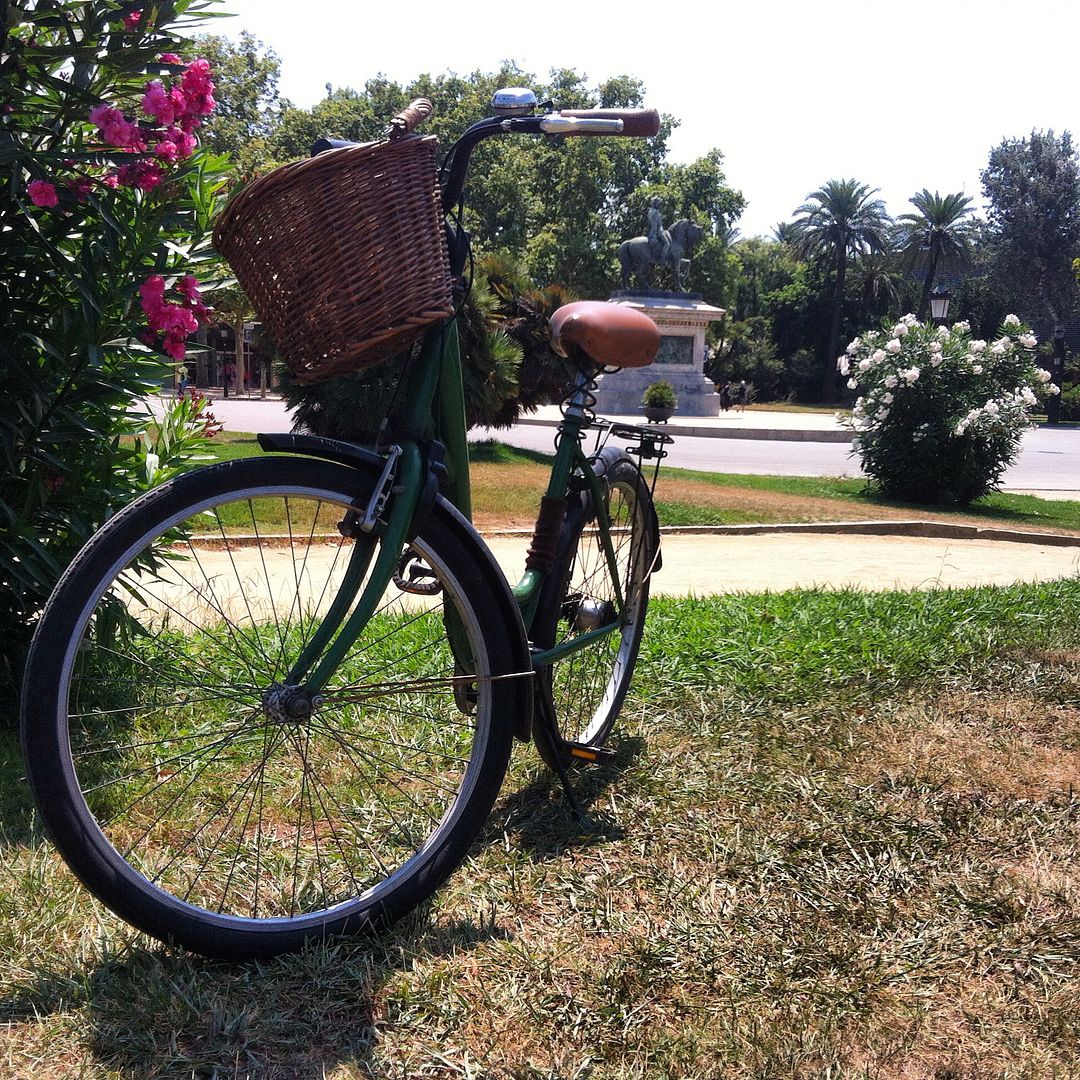 Quem sabe não é minha chance de ter uma bicicleta, hein?