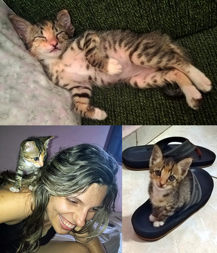 Mini-Nina (ou