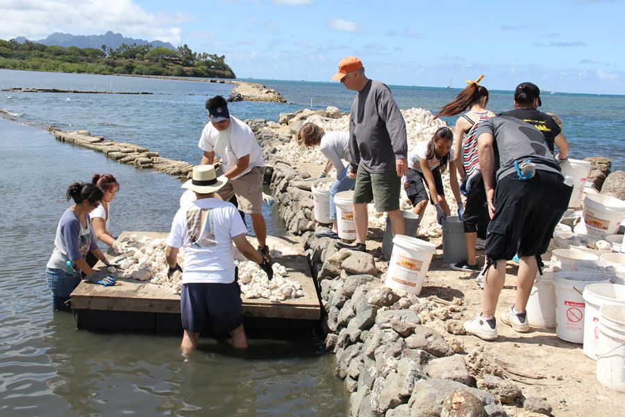 He‘eia Fishpond Restoration Helping to restore the He‘eia Fishpond by loading coral onto a small barge to transport across the fishpond.