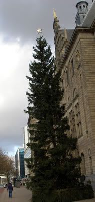 KerstboomCoolsingel.jpg