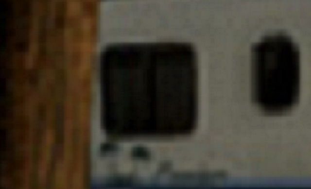 friendly-neighbors7_zpsc1dbf182.jpg