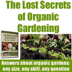 OrganicGardeningBook.jpg