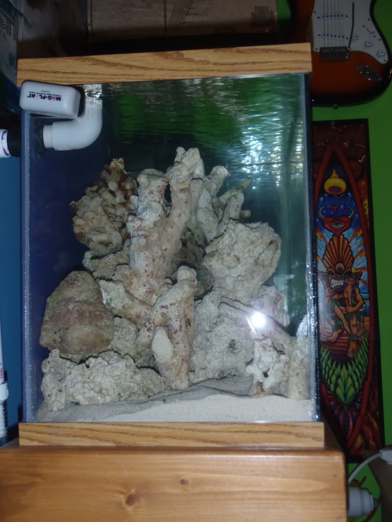 Posted Image