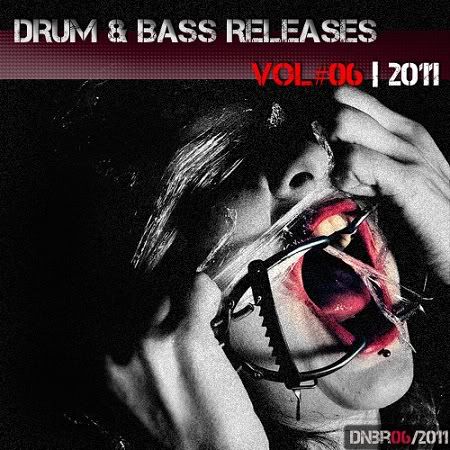 VA - DrumNBass Releases VOL 06 (2011)