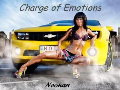 DJ Neonart - Charge of Emotions (2011) LS