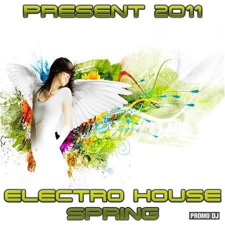 VA - Electro House Spring 2011 (Present)