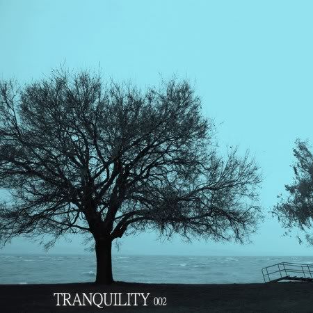 VA - Tranquility 002 (2011) VA - Tranquility 002 (2011)