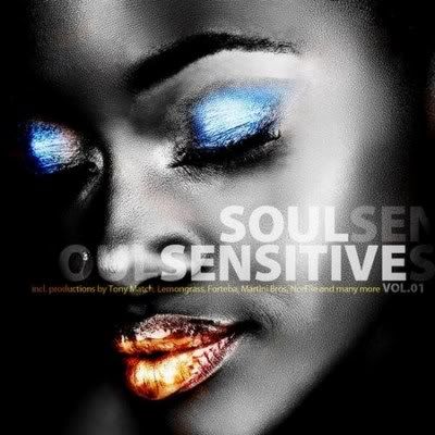 VA - Soul Sensitive Volume.1 (MP3) - 2011