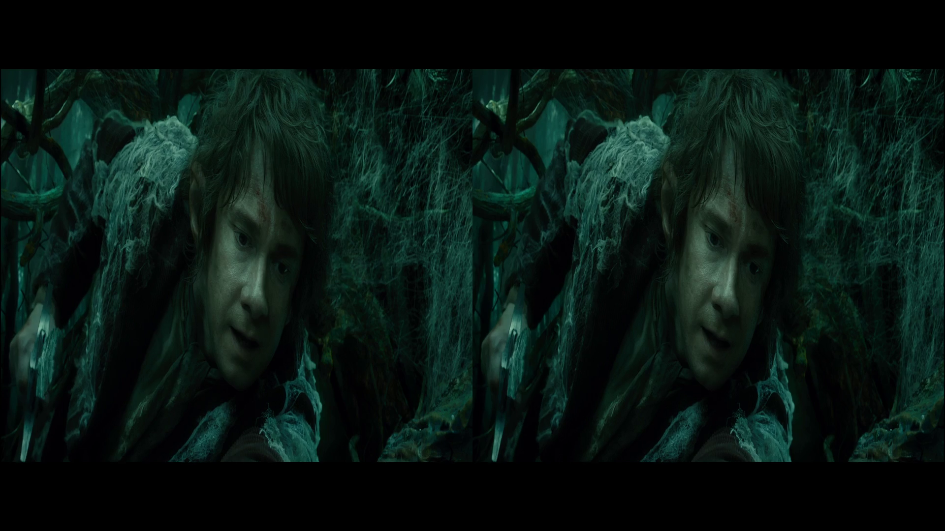 The Hobbit: The Desolation of Smaug Subtitles
