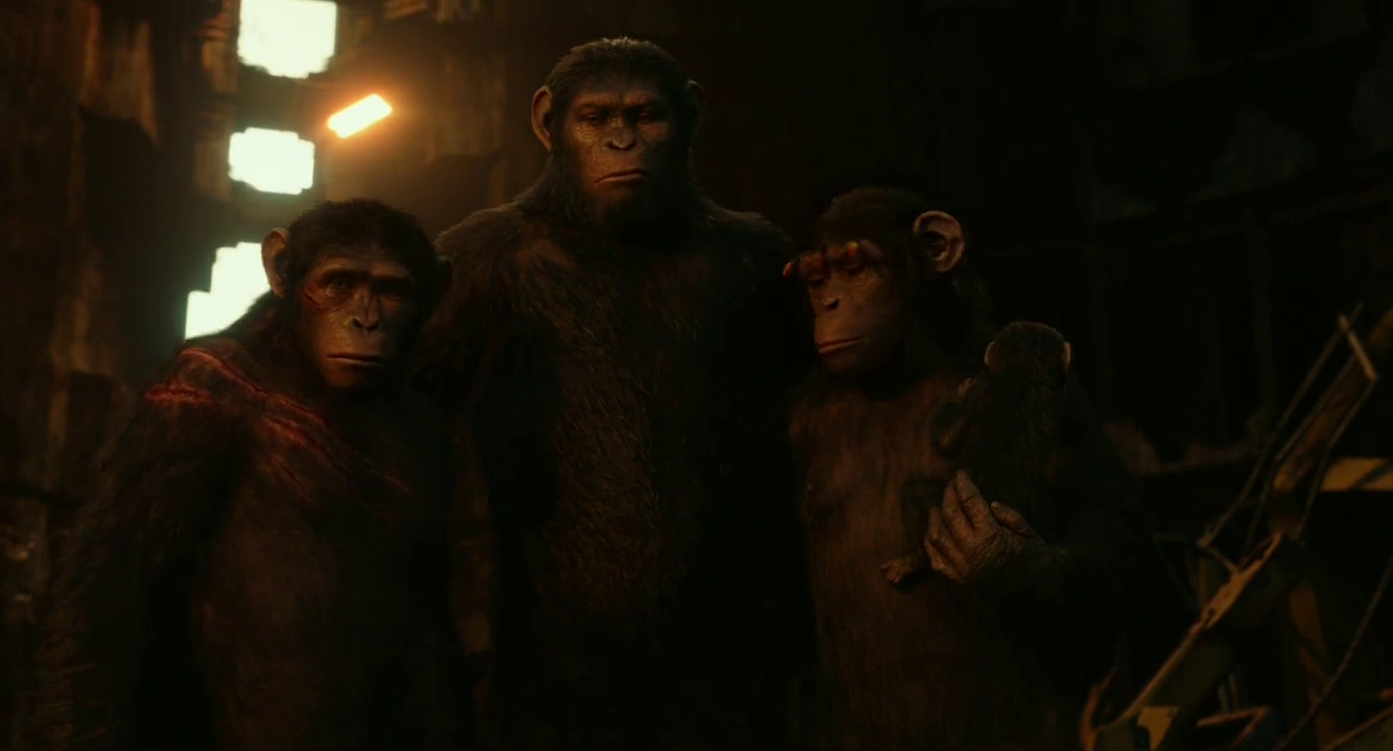 Dawn of the Planet of the Apes English Subtitle - YIFY YTS