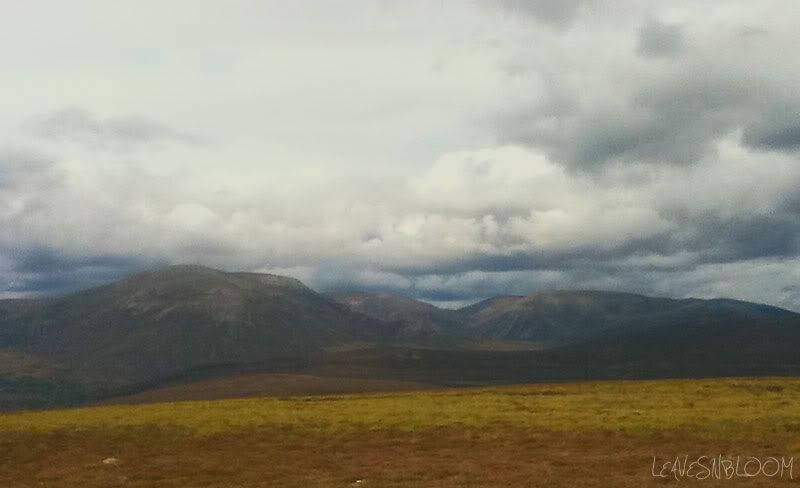 Scottish Highlands