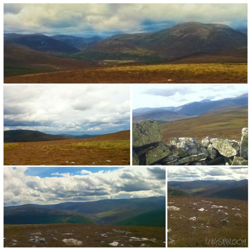 Views from the Graham Creag Bhalg Scottish Cairngorms