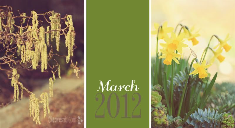 what blooms in March? - Contorted hazel catkins and tete a tete daffodils