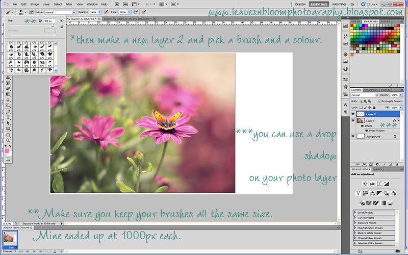 how to make Colour Palette Photographs template - adding brushes to your color palette
