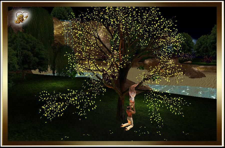  photo KISSES ON THE TREE.jpg