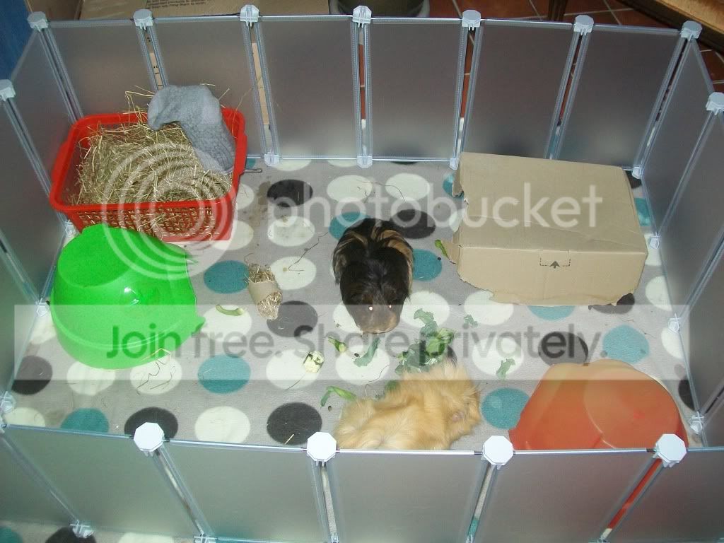 100_1370.jpg