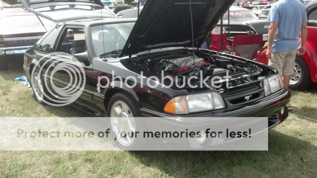 Chippewa ford lincoln mercury #7